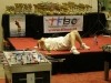 WCS Garlando 2007