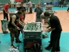 Sofia 2008
